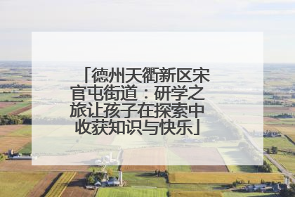 德州天衢新区宋官屯街道：研学之旅让孩子在探索中收获知识与快乐