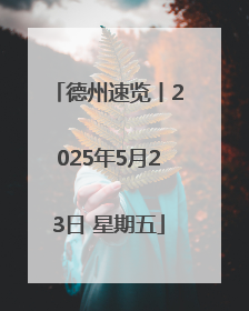 德州速览丨2025年5月23日 星期五