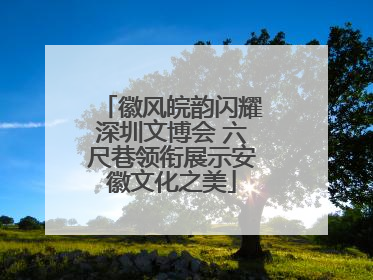 徽风皖韵闪耀深圳文博会 六尺巷领衔展示安徽文化之美