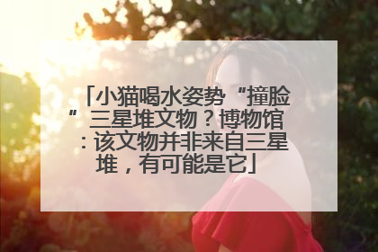 小猫喝水姿势“撞脸”三星堆文物？博物馆：该文物并非来自三星堆，有可能是它