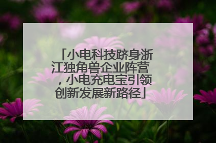 小电科技跻身浙江独角兽企业阵营，小电充电宝引领创新发展新路径