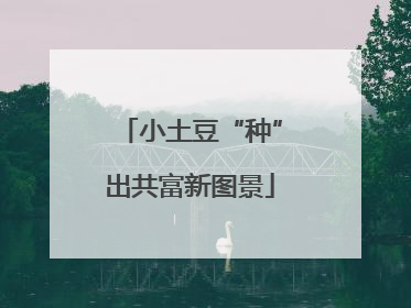 小土豆“种”出共富新图景
