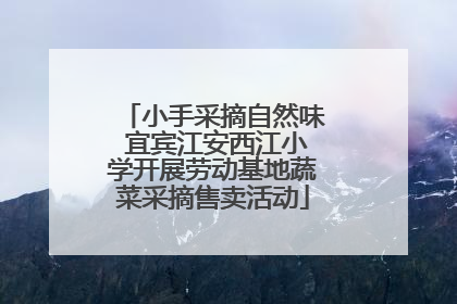 小手采摘自然味 宜宾江安西江小学开展劳动基地蔬菜采摘售卖活动