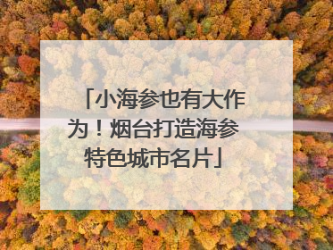 小海参也有大作为！烟台打造海参特色城市名片