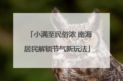 小满至民俗浓 南海居民解锁节气新玩法