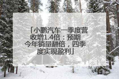 小鹏汽车一季度营收增1.4倍：预期今年销量翻倍，四季度实现盈利