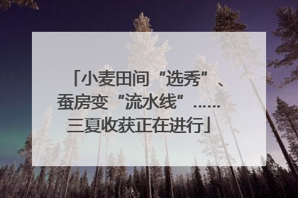 小麦田间“选秀”、蚕房变“流水线”……三夏收获正在进行