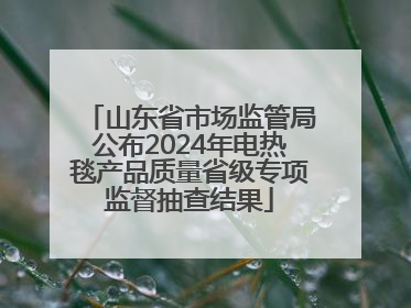 山东省市场监管局公布2024年电热毯产品质量省级专项监督抽查结果