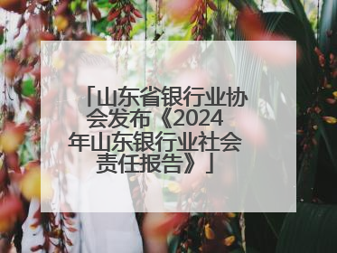 山东省银行业协会发布《2024年山东银行业社会责任报告》