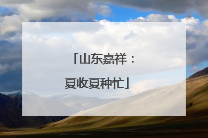 山东嘉祥：夏收夏种忙