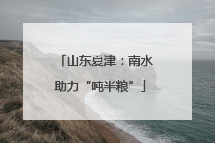山东夏津：南水助力“吨半粮”