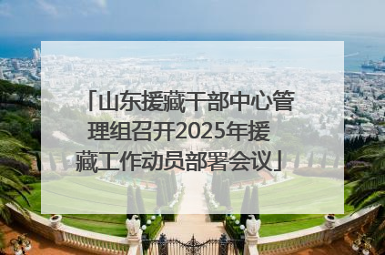 山东援藏干部中心管理组召开2025年援藏工作动员部署会议