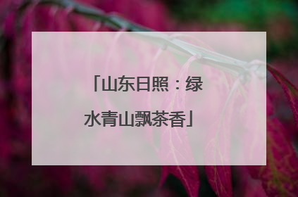 山东日照：绿水青山飘茶香