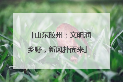 山东胶州：文明润乡野，新风扑面来