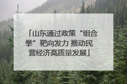 山东通过政策“组合拳”靶向发力 推动民营经济高质量发展