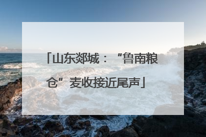 山东郯城：“鲁南粮仓”麦收接近尾声