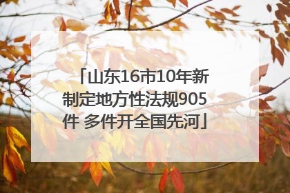 山东16市10年新制定地方性法规905件 多件开全国先河
