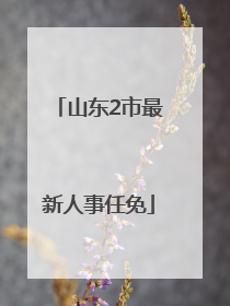 山东2市最新人事任免