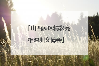 山西展区精彩亮相深圳文博会