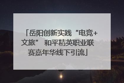 岳阳创新实践“电竞+文旅” 和平精英职业联赛嘉年华线下引流