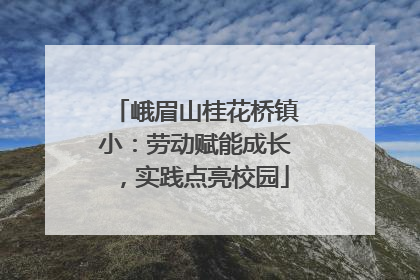 峨眉山桂花桥镇小：劳动赋能成长，实践点亮校园
