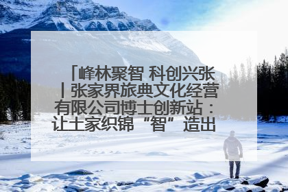 峰林聚智 科创兴张丨张家界旅典文化经营有限公司博士创新站：让土家织锦“智”造出非遗新传奇
