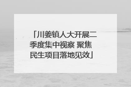 川姜镇人大开展二季度集中视察 聚焦民生项目落地见效