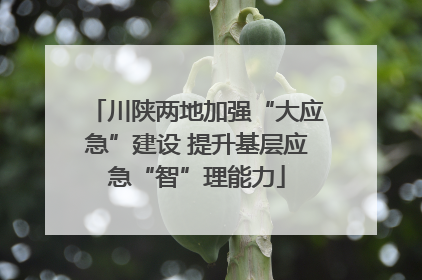 川陕两地加强“大应急”建设 提升基层应急“智”理能力