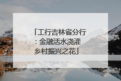 工行吉林省分行：金融活水浇灌 乡村振兴之花