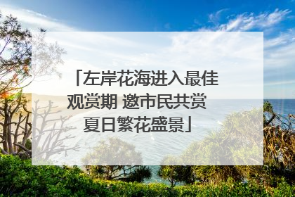 左岸花海进入最佳观赏期 邀市民共赏夏日繁花盛景