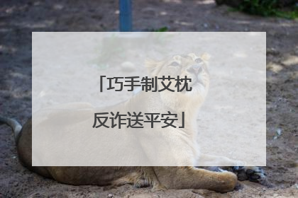 巧手制艾枕 反诈送平安