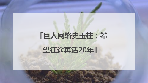 巨人网络史玉柱：希望征途再活20年