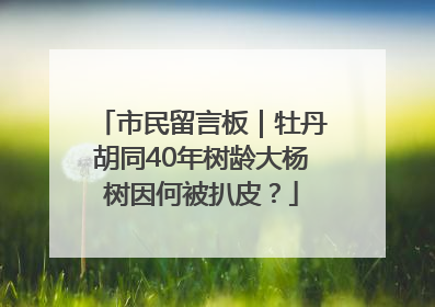 市民留言板｜牡丹胡同40年树龄大杨树因何被扒皮？