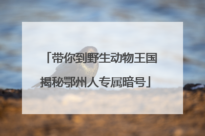 带你到野生动物王国揭秘鄂州人专属暗号