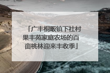 广丰桐畈镇下社村果丰苑家庭农场的百亩桃林迎来丰收季