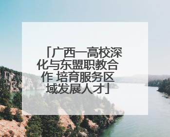 广西一高校深化与东盟职教合作 培育服务区域发展人才