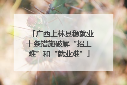 广西上林县稳就业十条措施破解“招工难”和“就业难”