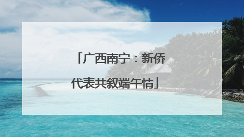 广西南宁：新侨代表共叙端午情