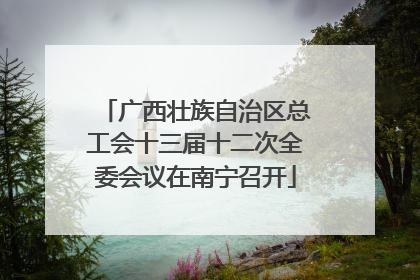广西壮族自治区总工会十三届十二次全委会议在南宁召开