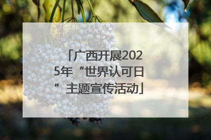 广西开展2025年“世界认可日”主题宣传活动