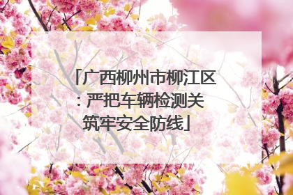 广西柳州市柳江区：严把车辆检测关 筑牢安全防线