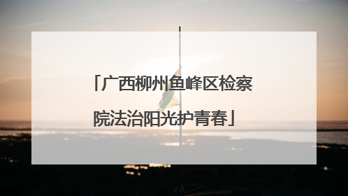 广西柳州鱼峰区检察院法治阳光护青春