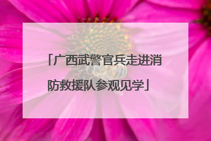广西武警官兵走进消防救援队参观见学