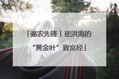 强农先锋丨崔洪海的“黄金叶”致富经
