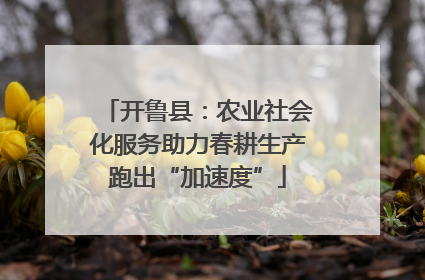 开鲁县：农业社会化服务助力春耕生产跑出“加速度”