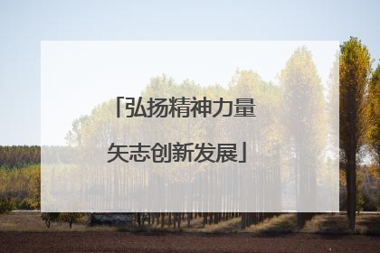 弘扬精神力量 矢志创新发展