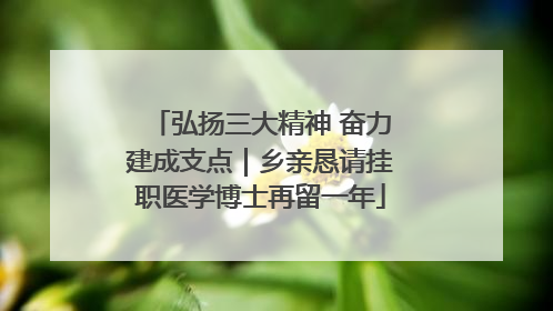 弘扬三大精神 奋力建成支点｜乡亲恳请挂职医学博士再留一年