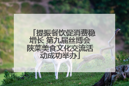 提振餐饮促消费稳增长 第九届丝博会陕菜美食文化交流活动成功举办