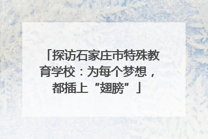 探访石家庄市特殊教育学校：为每个梦想，都插上“翅膀”