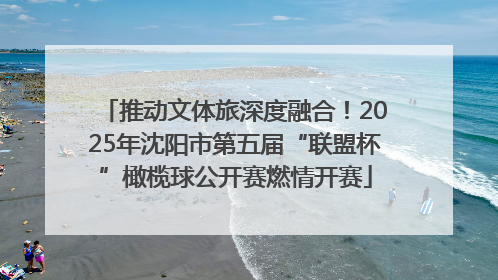 推动文体旅深度融合！2025年沈阳市第五届“联盟杯”橄榄球公开赛燃情开赛